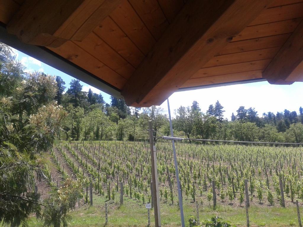 U' Cecere Agroturismo