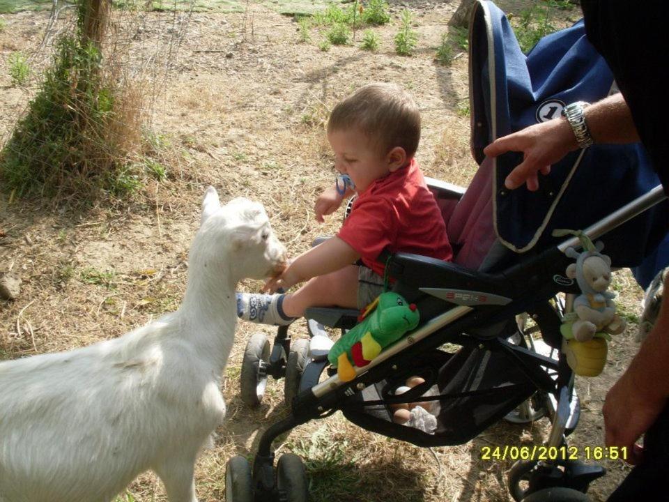 U' Cecere Agriturismo Farm stay Agropoli