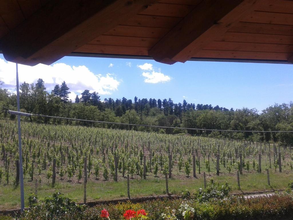 Farm stay U' Cecere Agriturismo *